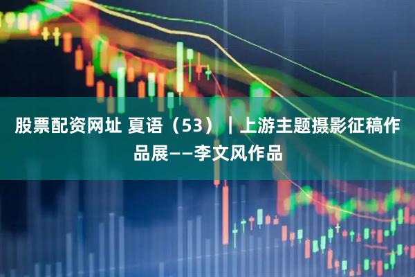 股票配资网址 夏语（53）｜上游主题摄影征稿作品展——李文风作品